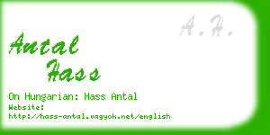 antal hass business card